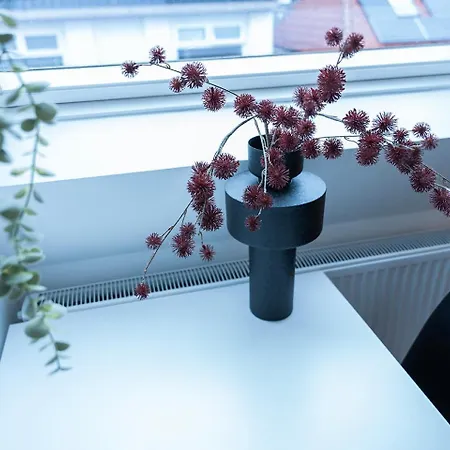 Clean-light W Easy Kitchen Access Hébergement de vacances *